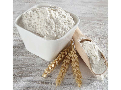 wheat prices punjab releases government wheat to flour mills