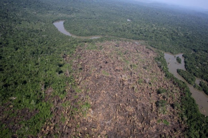 deforestation in brazil vote in argentina endanger eu mercosur pact deforestation in brazil vote in argentina endanger eu mercosur pact