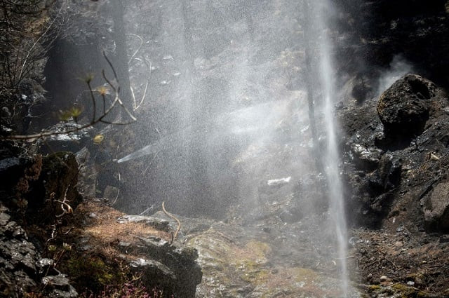 a firefighter douses a forest affected by wildfires in gran canaria on the spanish canary islands on august 13 2019 photo afp a firefighter douses a forest affected by wildfires in gran canaria on the spanish canary islands on august 13 2019 photo afp