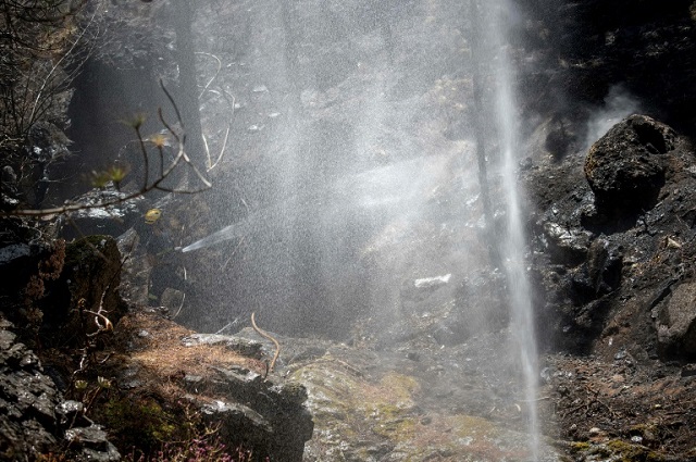 a firefighter douses a forest affected by wildfires in gran canaria on the spanish canary islands on august 13 2019 photo afp