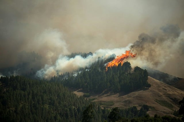 thousands of people have been evacuated because of a raging wildfire on gran canaria photo afp thousands of people have been evacuated because of a raging wildfire on gran canaria photo afp