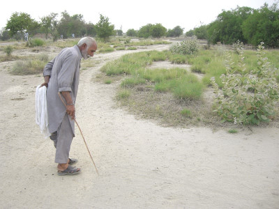 make way for the super sleuth