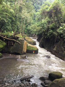 rejuvenation in balmy bali on a shoestring budget rejuvenation in balmy bali on a shoestring budget