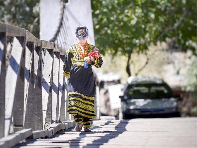 a kalasha girl wearing her traditional garb works in the fields in the kalash valley photo express