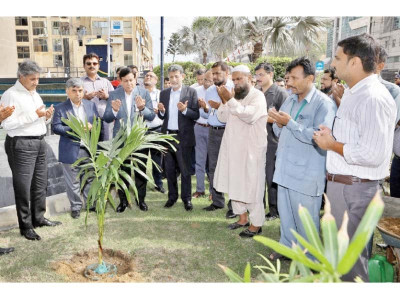 pso plants 1 000 trees pso plants 1 000 trees