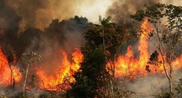 un france raise concern over amazon wildfires crisis