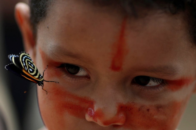 an indigenous boy from the mura tribe tries to look for a butterfly in itaparana village near humaita amazonas state brazil photo reuters