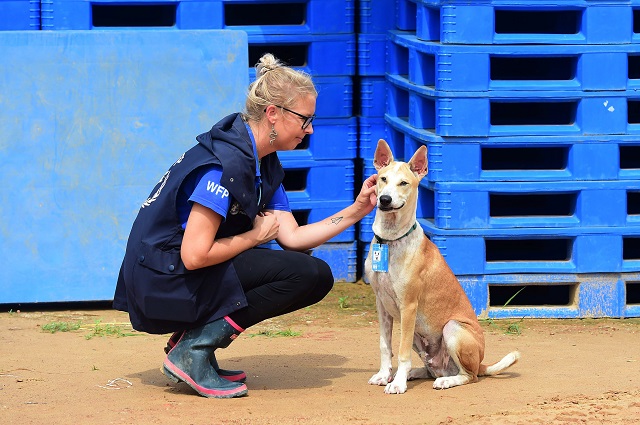 world food programme official gemma snowdon interacts with foxtrot in the kutupalong camp for rohingya refugees in southern bangladesh photo afp