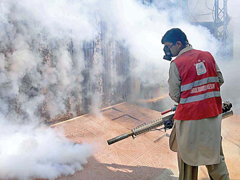 a health worker fumigates anti dengue spray in rawalpindi photo app