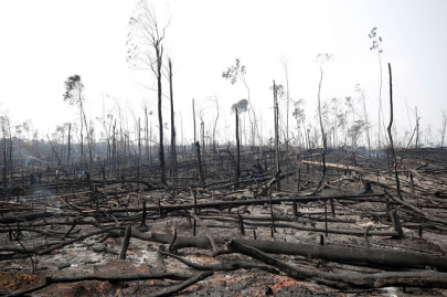 as eu threatens trade retaliation brazil sends army to fight amazon fires as eu threatens trade retaliation brazil sends army to fight amazon fires