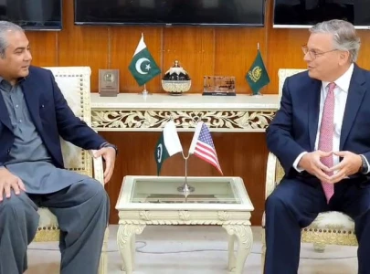 us ambassador blome and interior minister naqvi discuss bilateral cooperation