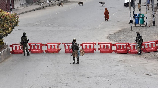 march aims to show solidarity with kashmiri people journalists photo anadolu agency