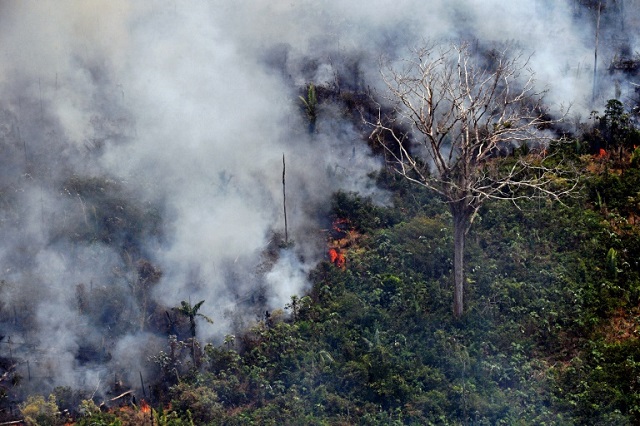 hundreds of new fires in brazil as outrage over amazon grows