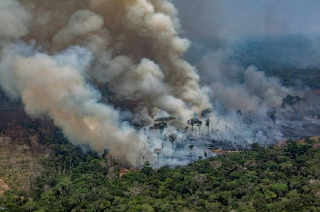 amazon fires have drawn comparison to african rainforest fires but experts say that is risky photo afp