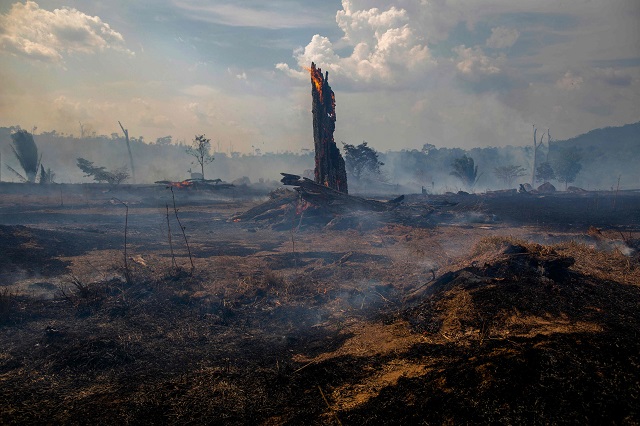 photo afp