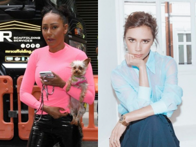 mel b compares fellow former spice girl victoria beckham to her dog mel b compares fellow former spice girl victoria beckham to her dog