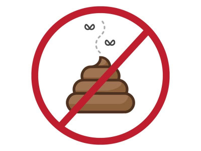 dirty business sindh s faecal matter is making its children dumber dirty business sindh s faecal matter is making its children dumber