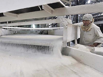 punjab initiates steps for timely start of crushing sugarcane punjab initiates steps for timely start of crushing sugarcane