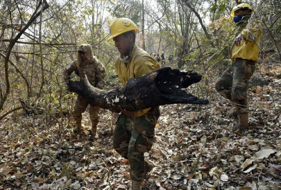 us ready to fight amazon fires only in cooperation with brazil us ready to fight amazon fires only in cooperation with brazil