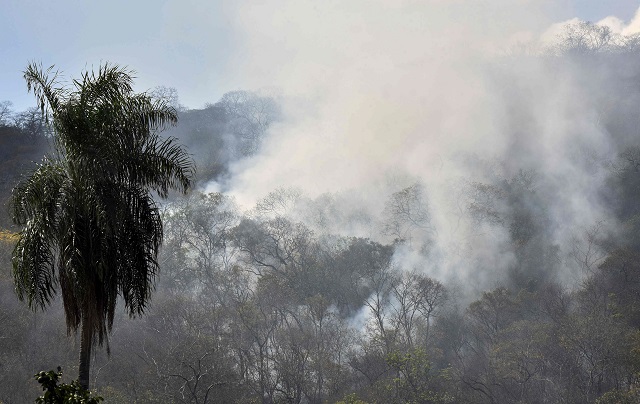 smoke rises from forest fires south of the amazon basin photo afp