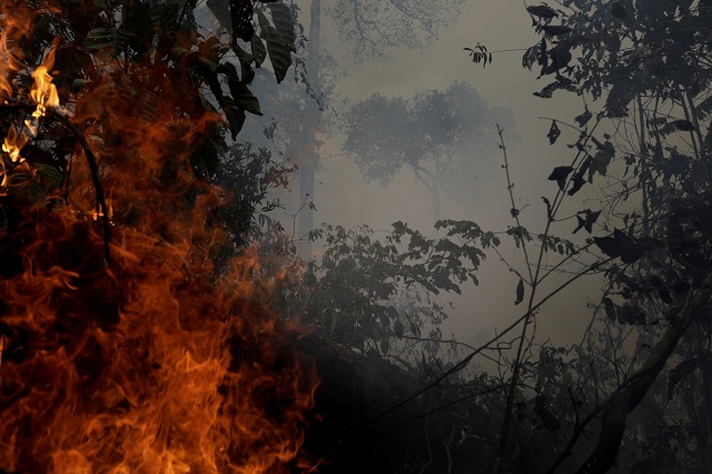 a fire burns a tract of amazon jungle as it is cleared by loggers and farmers near porto velho brazil august 27 2019 photo reuters