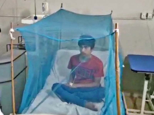 a boy sits inside a mosquito net at the bbh s dengue ward in rawalpindi photo nni a boy sits inside a mosquito net at the bbh s dengue ward in rawalpindi photo nni