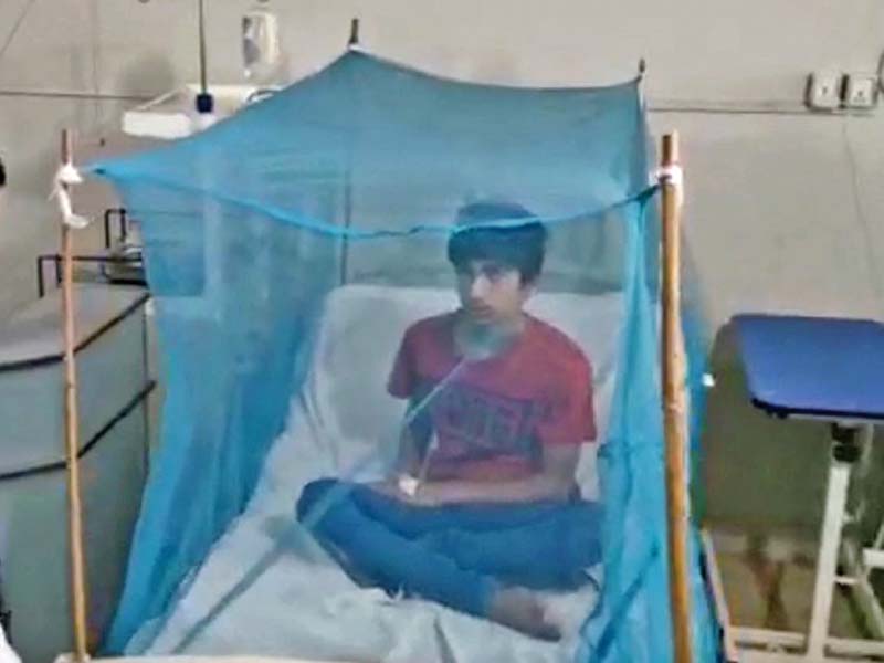 a boy sits inside a mosquito net at the bbh s dengue ward in rawalpindi photo nni