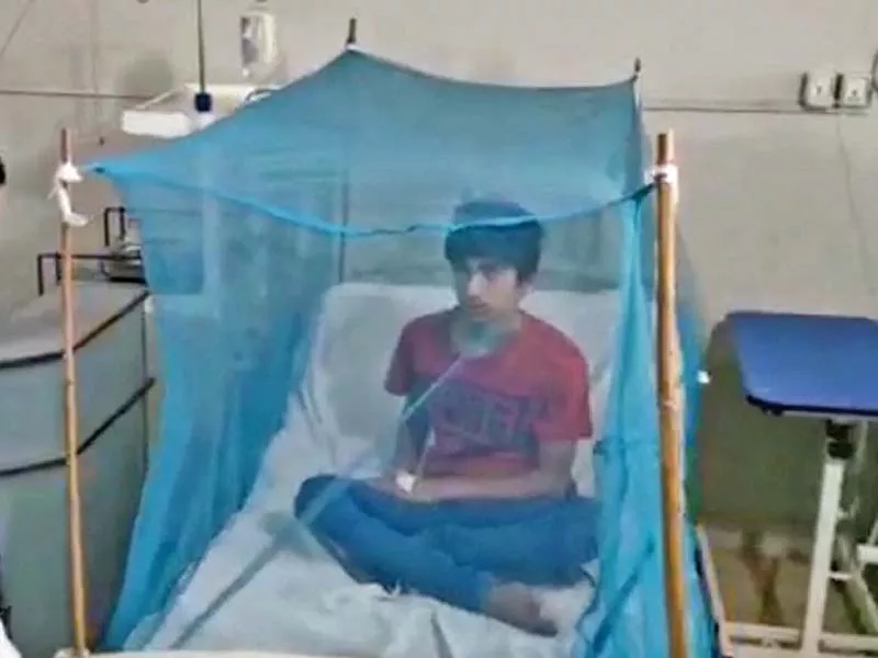 a boy sits inside a mosquito net at the bbh s dengue ward in rawalpindi photo nni a boy sits inside a mosquito net at the bbh s dengue ward in rawalpindi photo nni