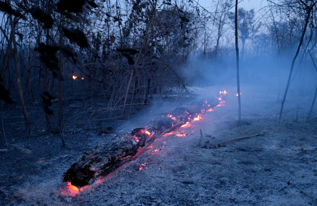 weather experts say that rain will not stop the burning of the amazon forest photo reuters