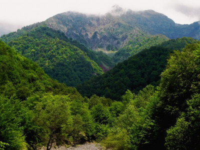 mountain conservation drive for children starts