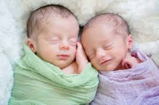 newborn twin babies in hospital