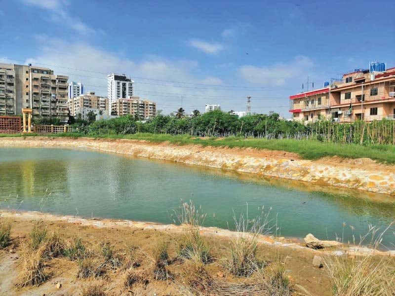 shahzad qureshi an entrepreneur who had adopted the park and was in charge of the project said he had planted 15 000 trees of 55 native species developed an artificial lake and an organic vegetable garden in the kmc park photos express