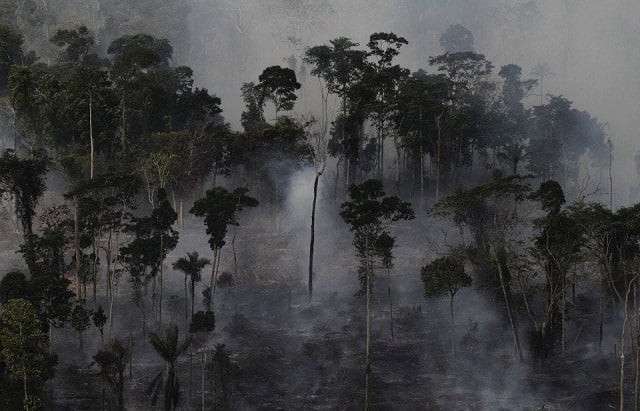 smoke billows as an area of the amazon rain forest is burned to clear land for agriculture in 2013 near novo progresso para state brazil photo reuters