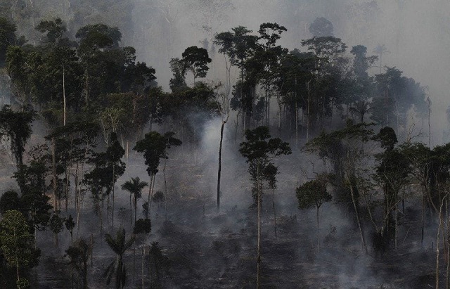 as amazon leaders meet scientists warn of fiery future for fragile forest