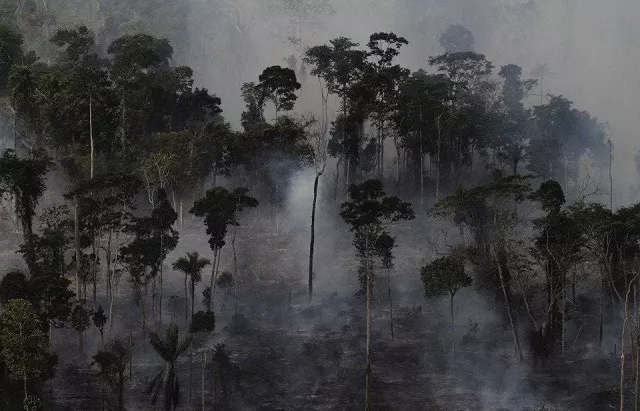 smoke billows as an area of the amazon rain forest is burned to clear land for agriculture in 2013 near novo progresso para state brazil photo reuters smoke billows as an area of the amazon rain forest is burned to clear land for agriculture in 2013 near novo progresso para state brazil photo reuters