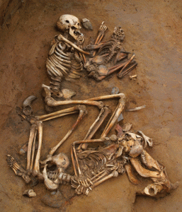 ancient dna study traces modern south asians ancestry to harappans