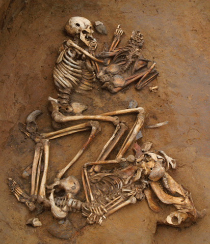a file photo of ancient skeletons photo smitsonianmag com a file photo of ancient skeletons photo smitsonianmag com