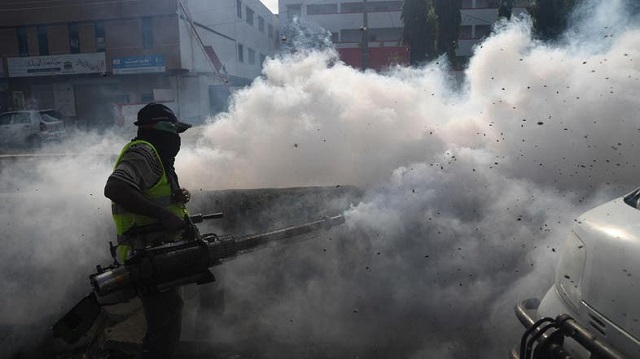 swarms of flies are engulfing the commercial capital following heavy rains file photo afp