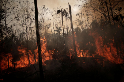 brazil deforestation rises in august adding to amazon fire worries
