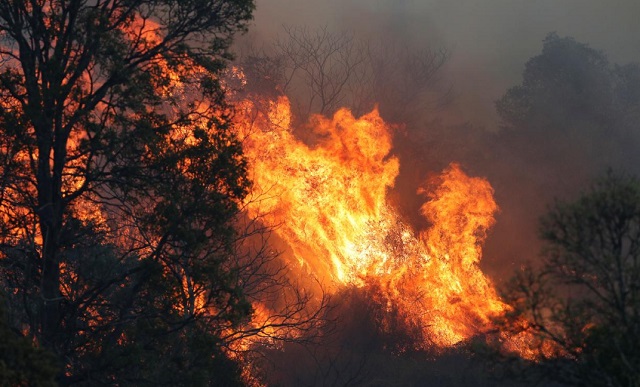 a bushfire rages near the rural town of canungra in the scenic rim region of south east queensland australia september 6 photo reuters