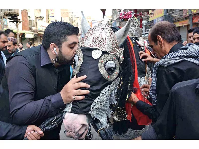 a mourner kisses the zuljinah a symbol of hazrat imam hussain s ra horse in karbala as a mark of reverence on the 7th of muharram at the qissa khawani bazaar in peshawar photo app a mourner kisses the zuljinah a symbol of hazrat imam hussain s ra horse in karbala as a mark of reverence on the 7th of muharram at the qissa khawani bazaar in peshawar photo app