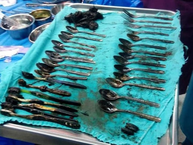 his mother was bemused after the forks spoons and jewellery disappeared from the house in recent month photo courtesy gulf news his mother was bemused after the forks spoons and jewellery disappeared from the house in recent month photo courtesy gulf news