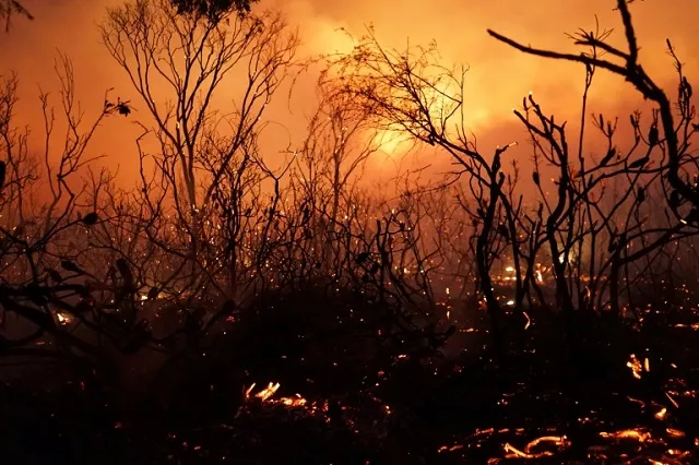 bushfires are an annual occurrence in australia during the southern hemisphere spring and summer this photo from 2018 shows a blaze in queensland photo afp bushfires are an annual occurrence in australia during the southern hemisphere spring and summer this photo from 2018 shows a blaze in queensland photo afp