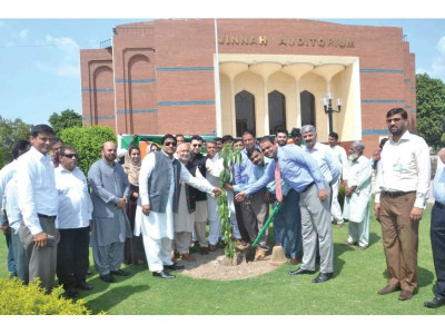 tree plantation drive launched at bzu tree plantation drive launched at bzu