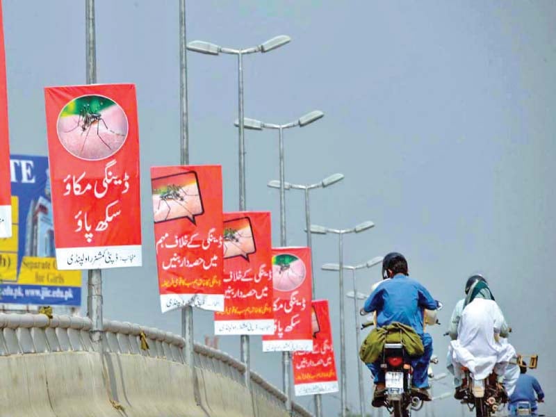 anti dengue posters displayed in rawalpindi photo app