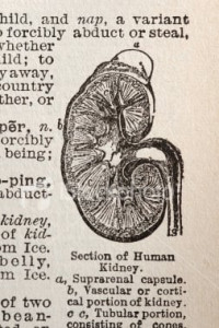 illegal transplant network dying kidney seeker s wife appeals for release