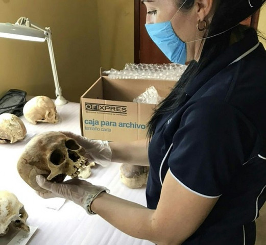 researcher alyson wilson studied the movements of a corpse over 17 months and found humans don 039 t exactly rest in peace photo afp researcher alyson wilson studied the movements of a corpse over 17 months and found humans don 039 t exactly rest in peace photo afp