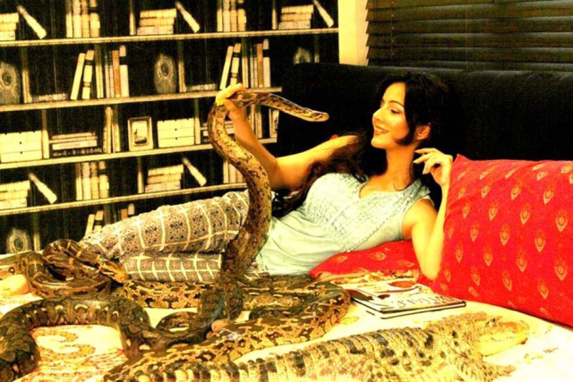 pirzada previously claimed that her love for snakes is more than just a hobby for her photo courtesy rabi pirzada social media pirzada previously claimed that her love for snakes is more than just a hobby for her photo courtesy rabi pirzada social media