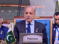 pm shehbaz urges d 8 countries to empower youth and support smes