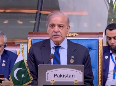 pm shehbaz urges d 8 countries to empower youth and support smes pm shehbaz urges d 8 countries to empower youth and support smes
